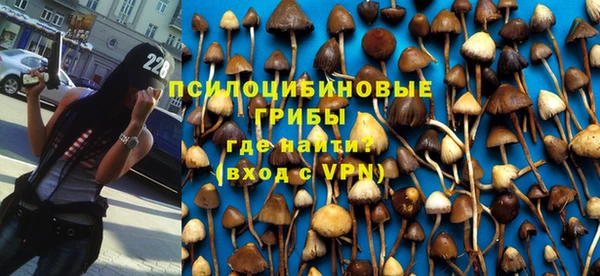 спайс Алексин