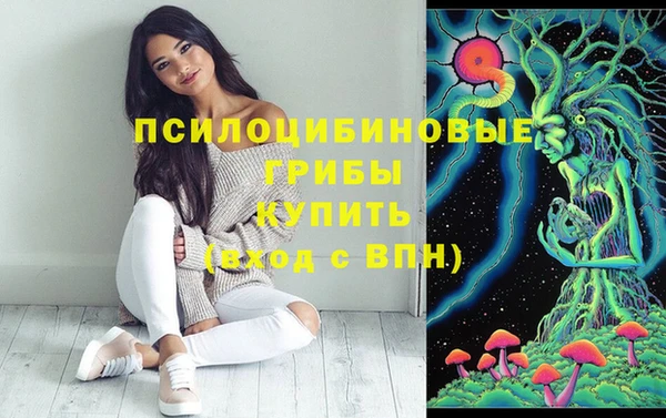 тгк Алексеевка