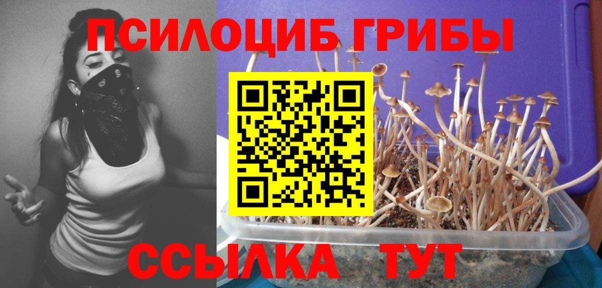 Галлюциногенные грибы ЛСД Ярцево