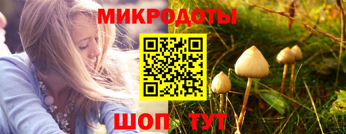 Ярцево  закладка  Вход с VPN  Псилоцибиновые грибы мицелий  Галлюциногенные грибы Cubensis 